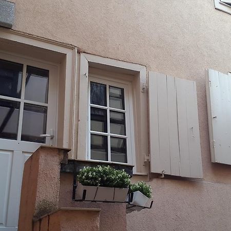 Colmar City Center Little Venise - Gite De Louise - Esterno foto